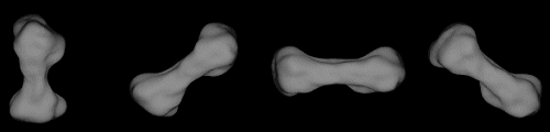 Dog Bone Asteroid