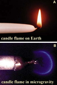 Candle