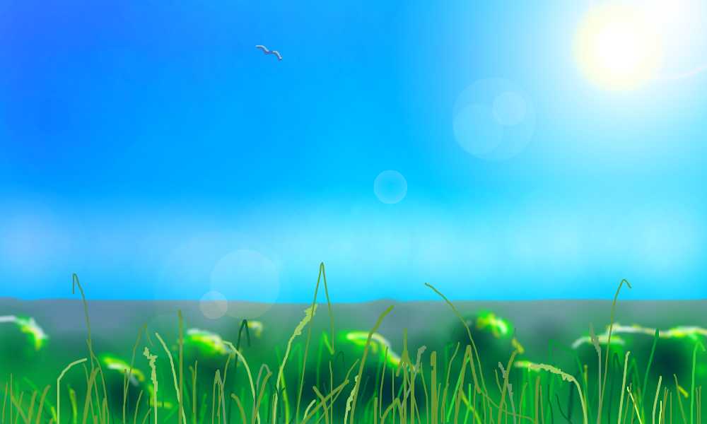 It's a nice day to take a drive.